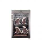 Шкаф для вызревания мяса DX 500 DRY AGER